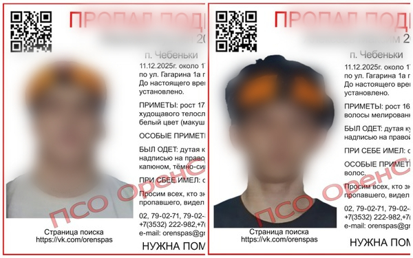 Пропавшие. Источник: ПСО «ОренСпас»