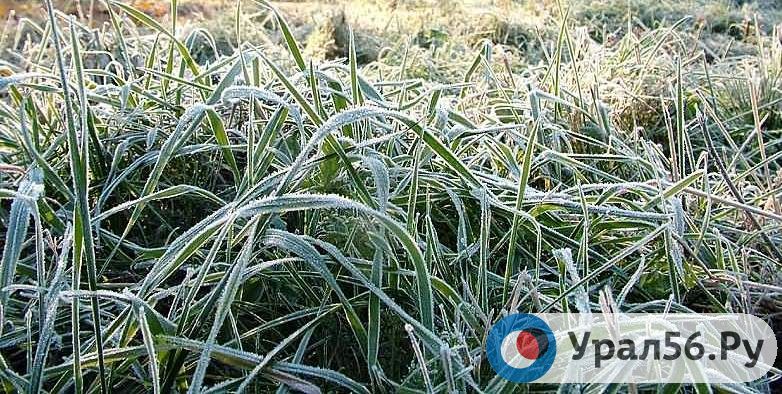 В Оренбургской области ночью ожидаются заморозки до -5°С