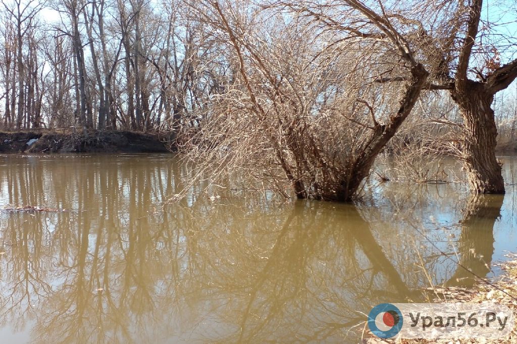 Река Урал в Орске, 16.04.2021