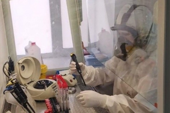 +31 за сутки: где зафиксированы новые случаи коронавируса в Оренбургской области