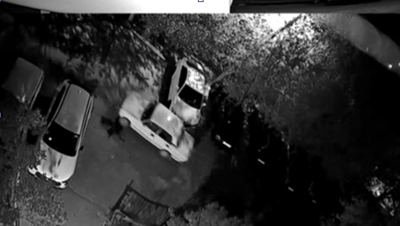 Кадр из видео угона автомобиля. Видео: УМВД России по Оренбургской области