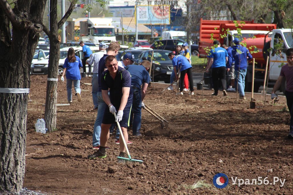Субботник на проспекте Гагарина, Оренбург