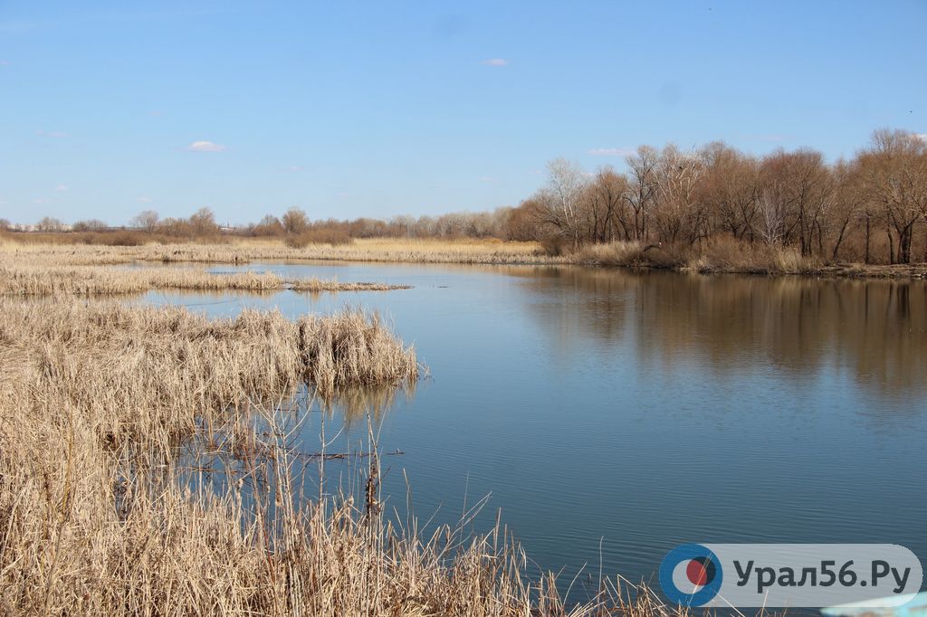 Какой уровень реки сакмара в оренбурге