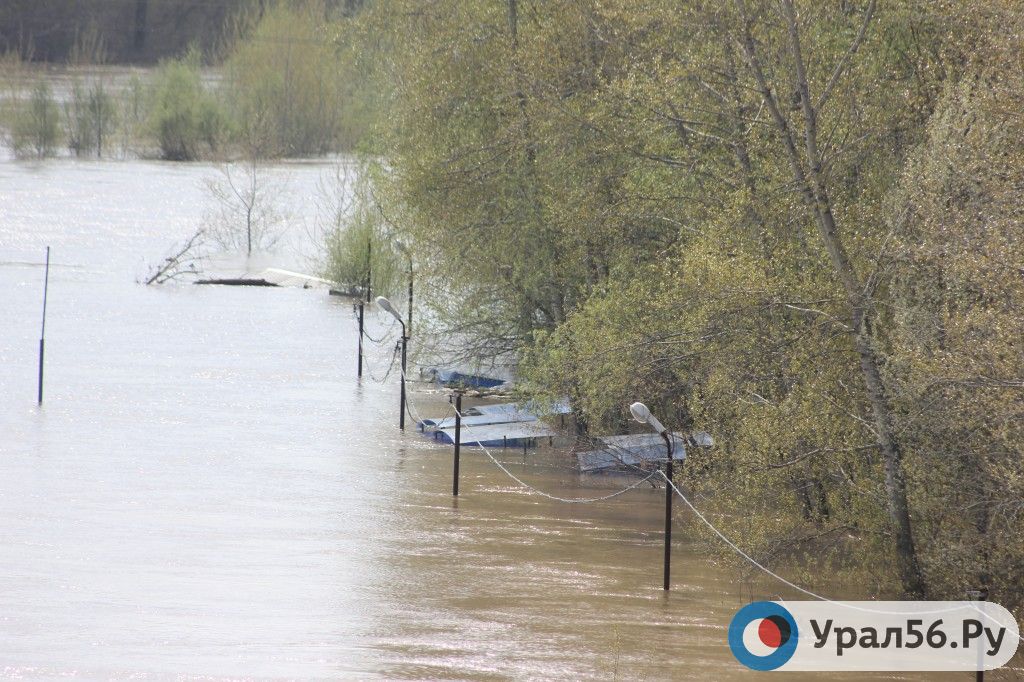 Какой уровень реки сакмара в оренбурге