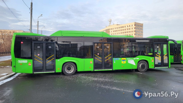 В Оренбург прибыла очередная партия автобусов большого класса