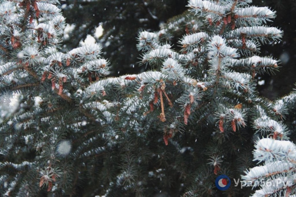 На следующей неделе в Оренбургской области ожидается небольшой мороз. Возможны отмены очных занятий в школах