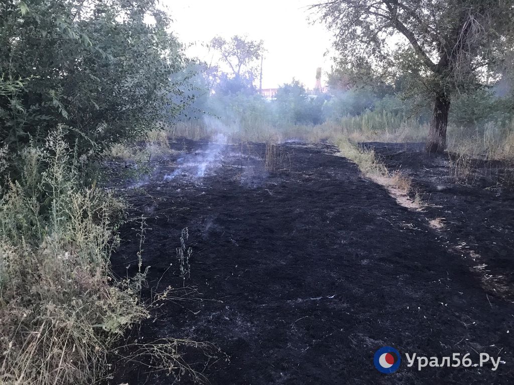 Парк Малишевского в Орске находится в удручающем состоянии