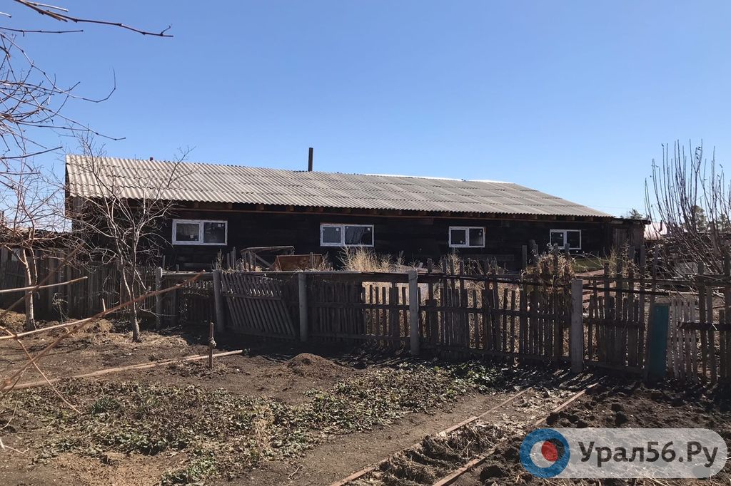 Свинарник в поселке Джанаталап