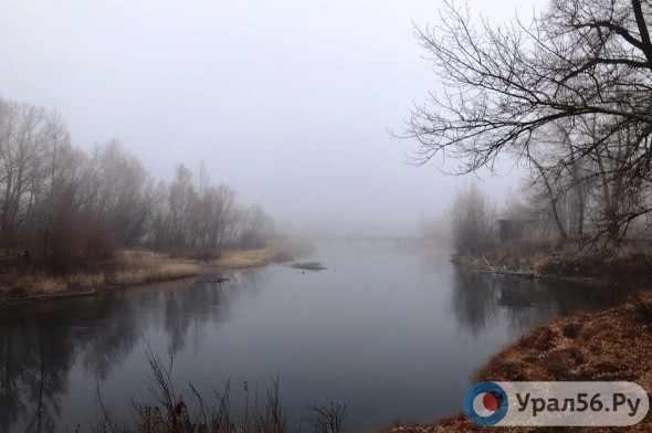 Ночью и днем в Оренбургской области ожидается сильный туман