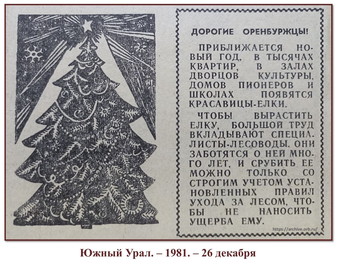 Вырезка из газеты за 1981 год