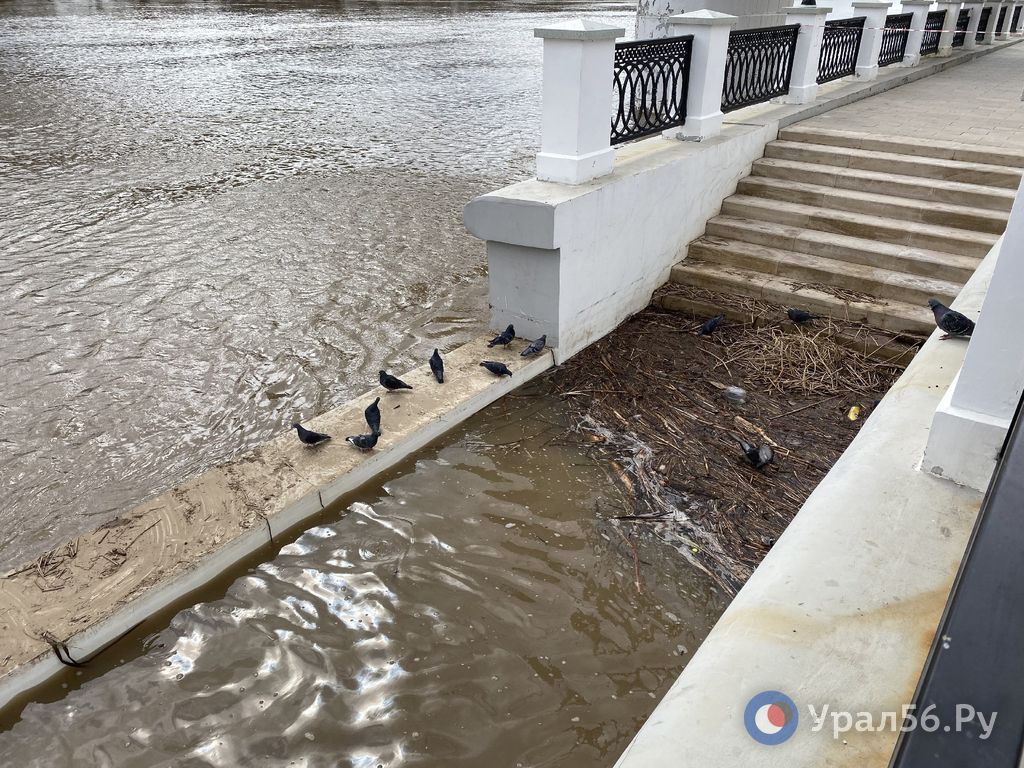 Ириклинское водохранилище сброс воды сейчас. Паводок. Вода наводнение. Наводнение в Орске. Наводнение на Урале.