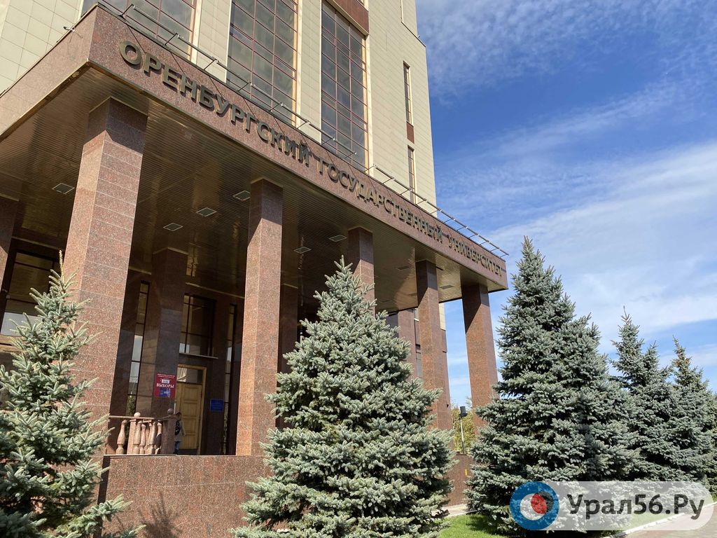 Оренбургский государственный университет