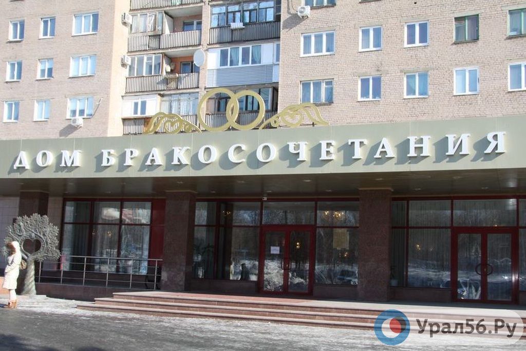 Отдел ЗАГС представил статистику рождаемости и смертности в Орске в ноябре 2023 года