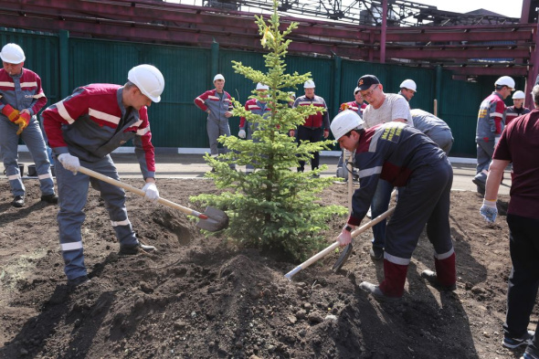 Работники ММСК высадили деревья и цветы в Медногорске