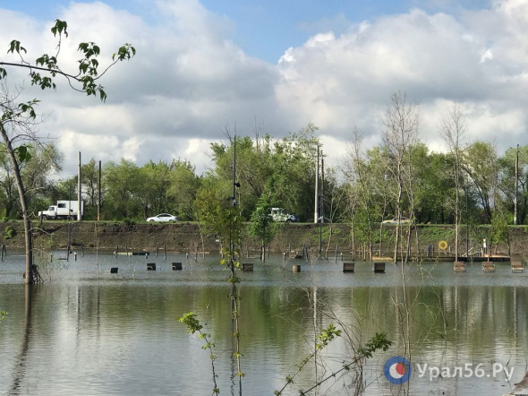 250 млн рублей дополнительно выделено Орску на восстановление парка Строителей и сада Шевченко 
