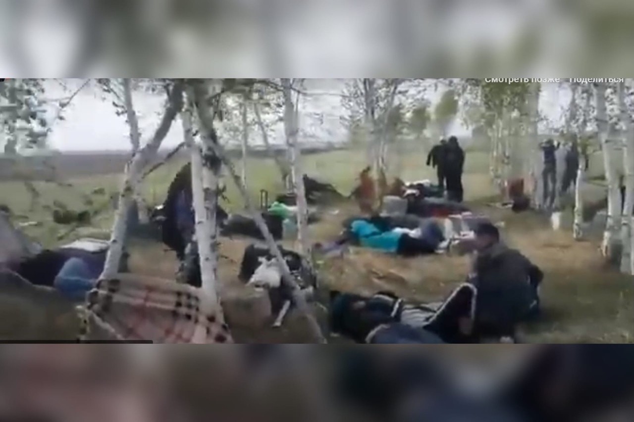 Стоп-кадр из видео
