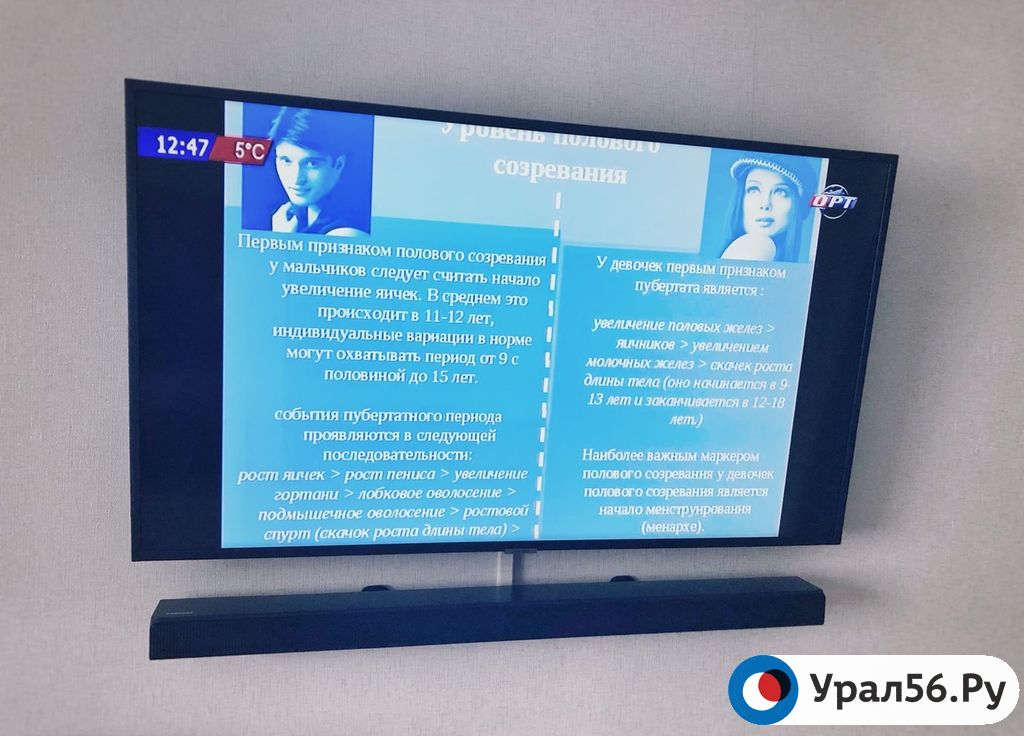 Урок биологии на телеканале ОРТ