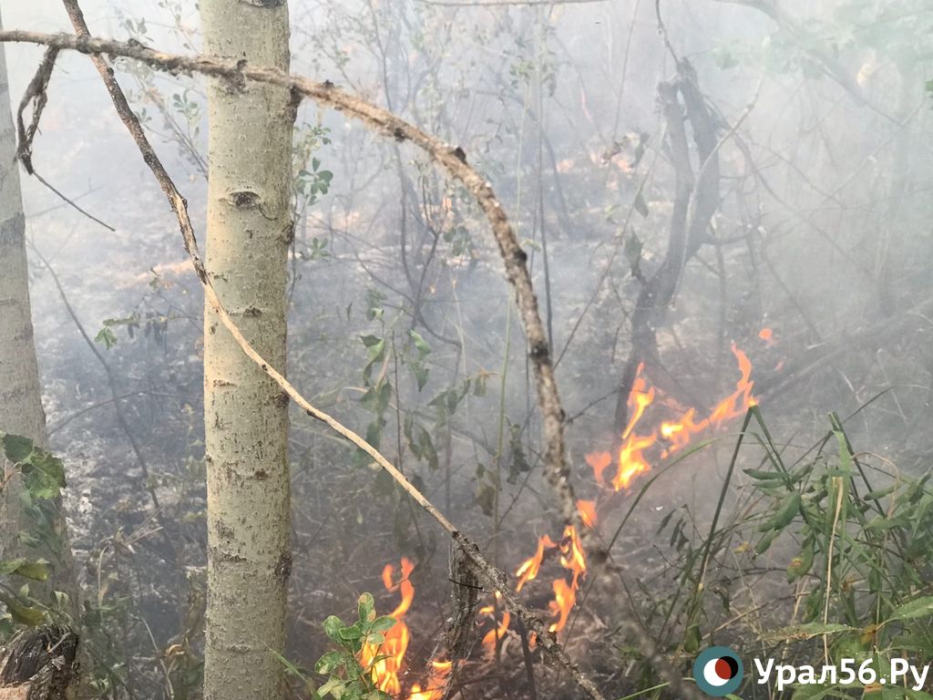 Пожар в районе Сары
