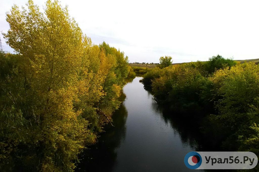 Природы в Оренбургской области