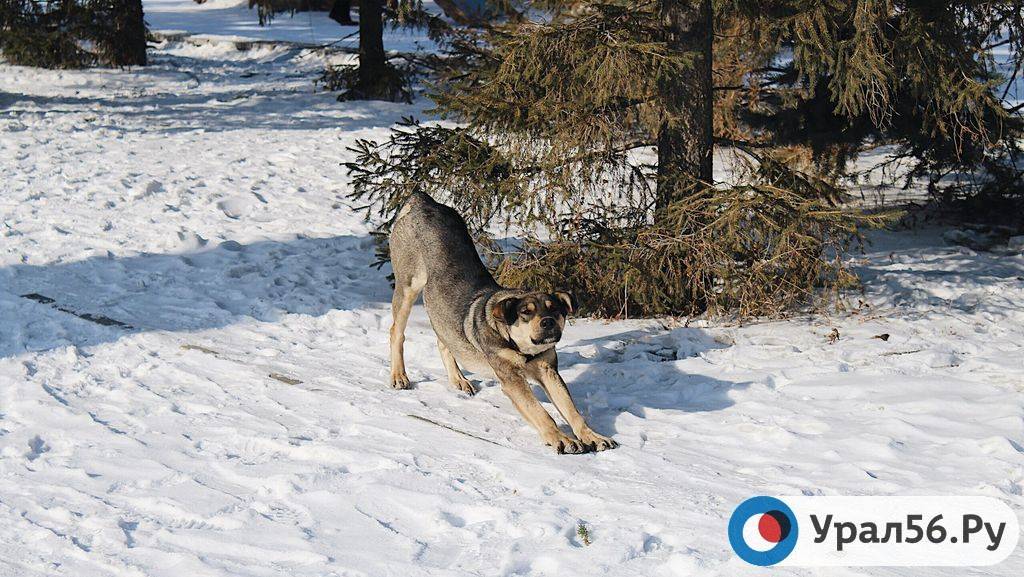 Весна в Орске