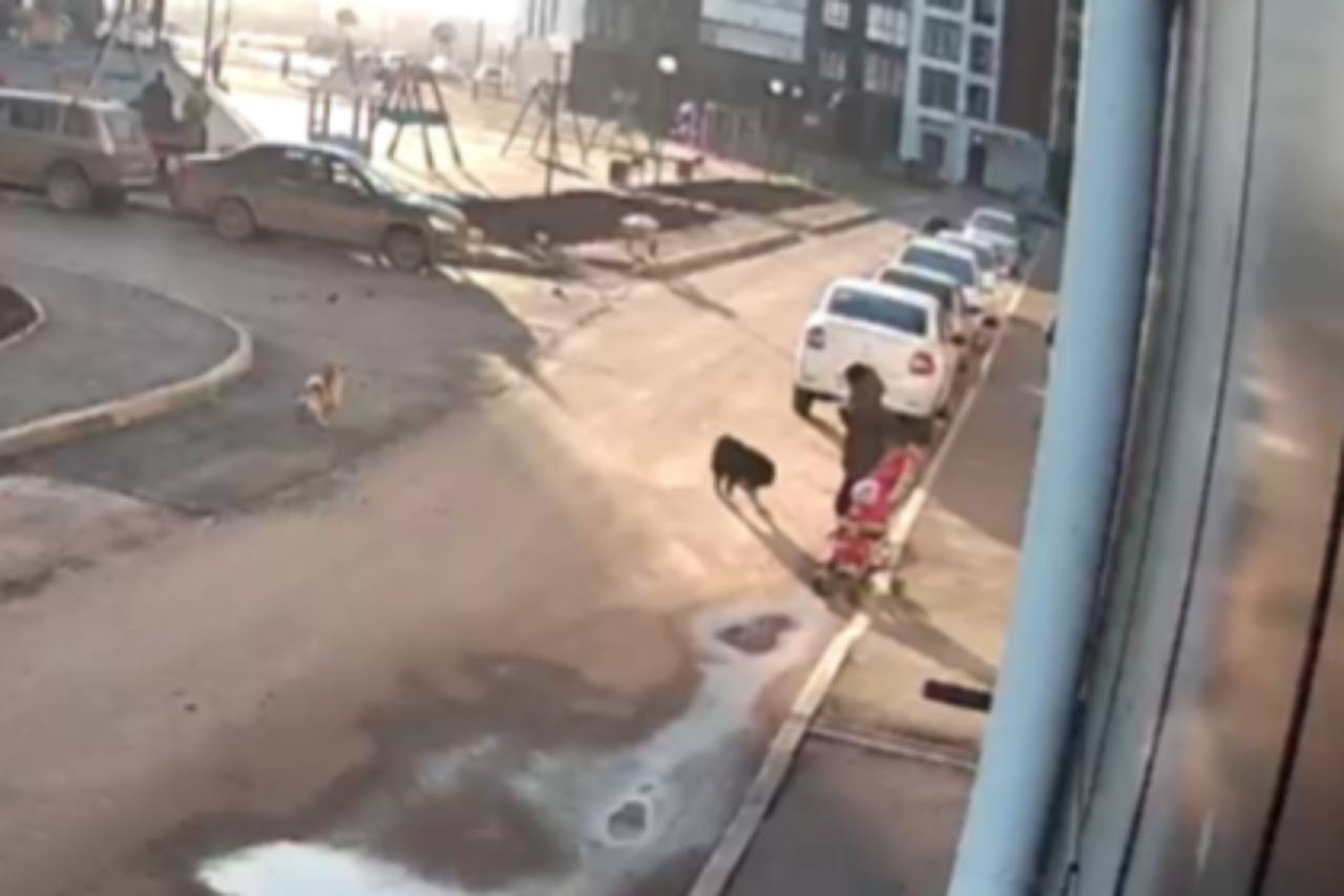 На месте происшествия. Источник: Стоп-кадр из видео, которое прислал местный житель