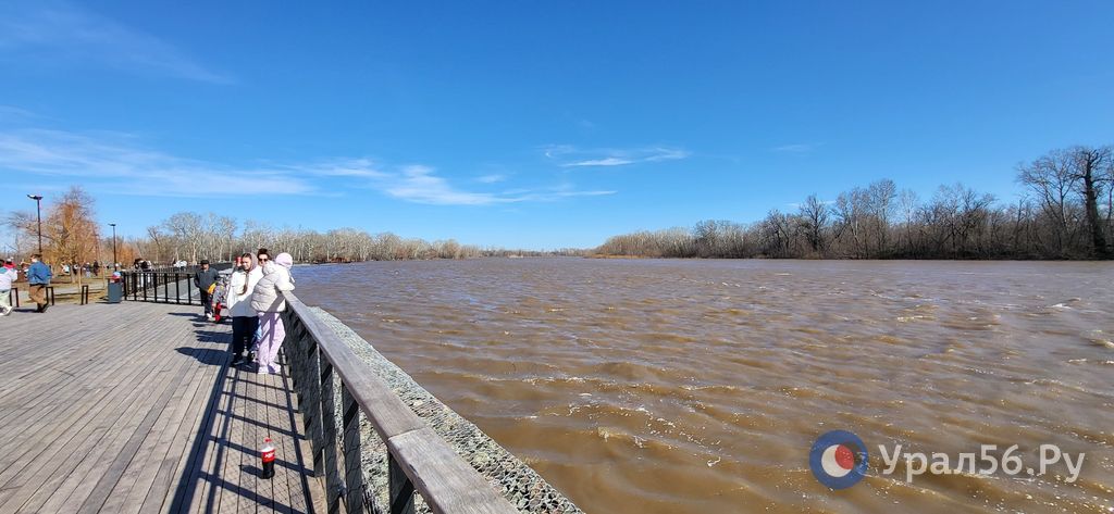 Какой уровень воды в урале город оренбург