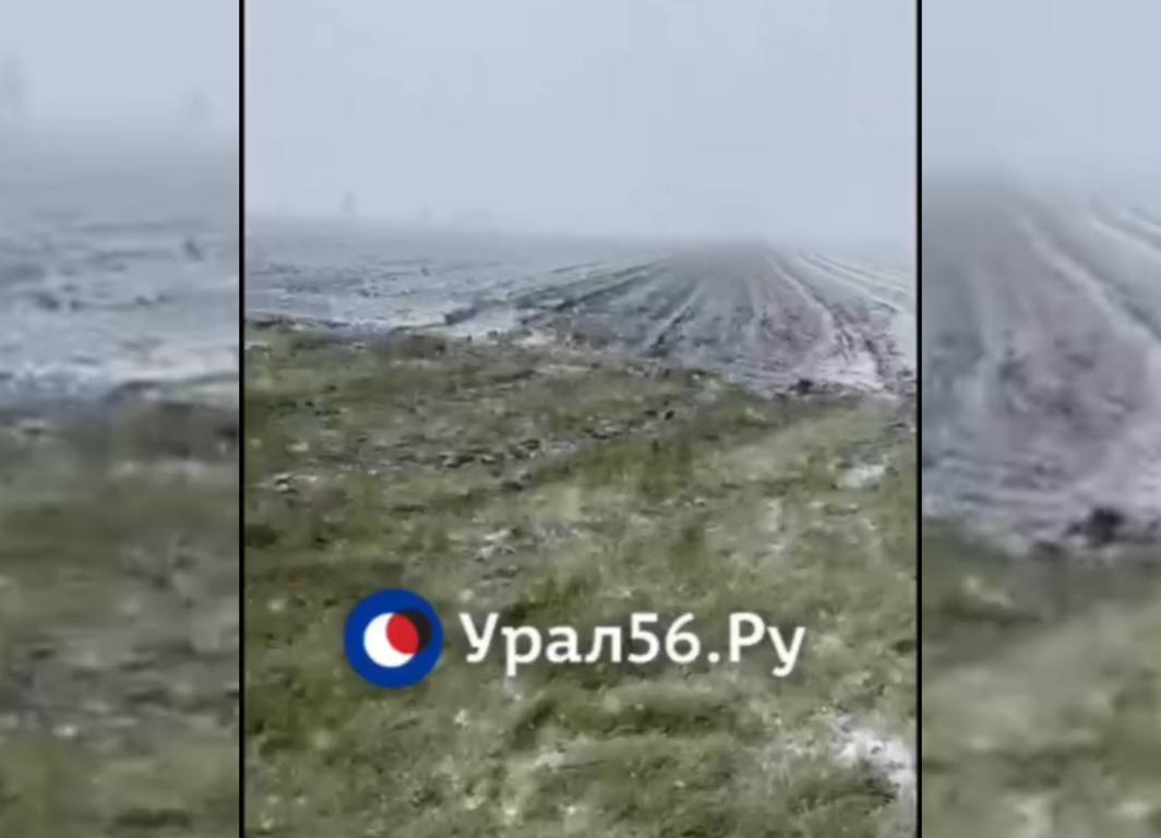 Снег выпал в Александровском районе