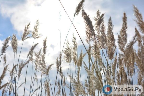 В районе реки Урал в Орске