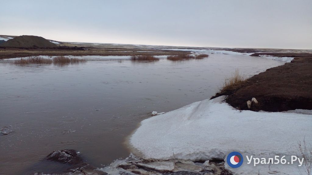 Река Джуса, Оренбургская область, 2023 год