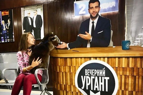 Виктория с енотом Торнадо на Первом канале, фото: Instagram