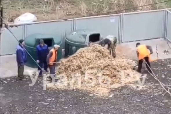 В Орске коммунальщики дробленые ветки лопатами закидывают в контейнеры для ТКО (видео)