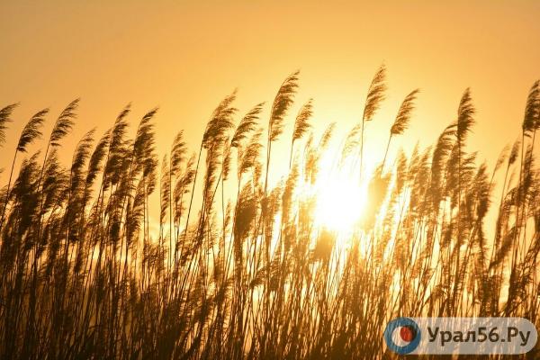 Какая погода будет в Оренбурге и Орске на праздничных выходных?