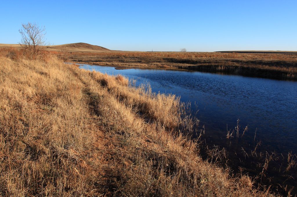 Сорочинское водохранилище оренбургской области