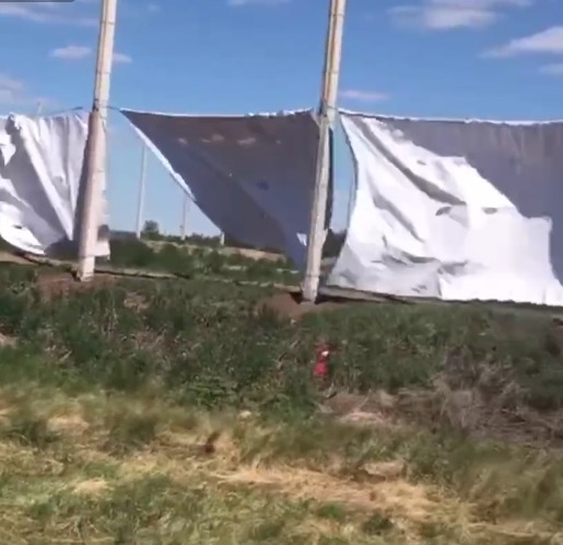 К середине июня вокруг иловых полей под Оренбургом должны были поставить забор, однако вместо него там натянуты белые баннеры. Что это? Комментарий Водоканала