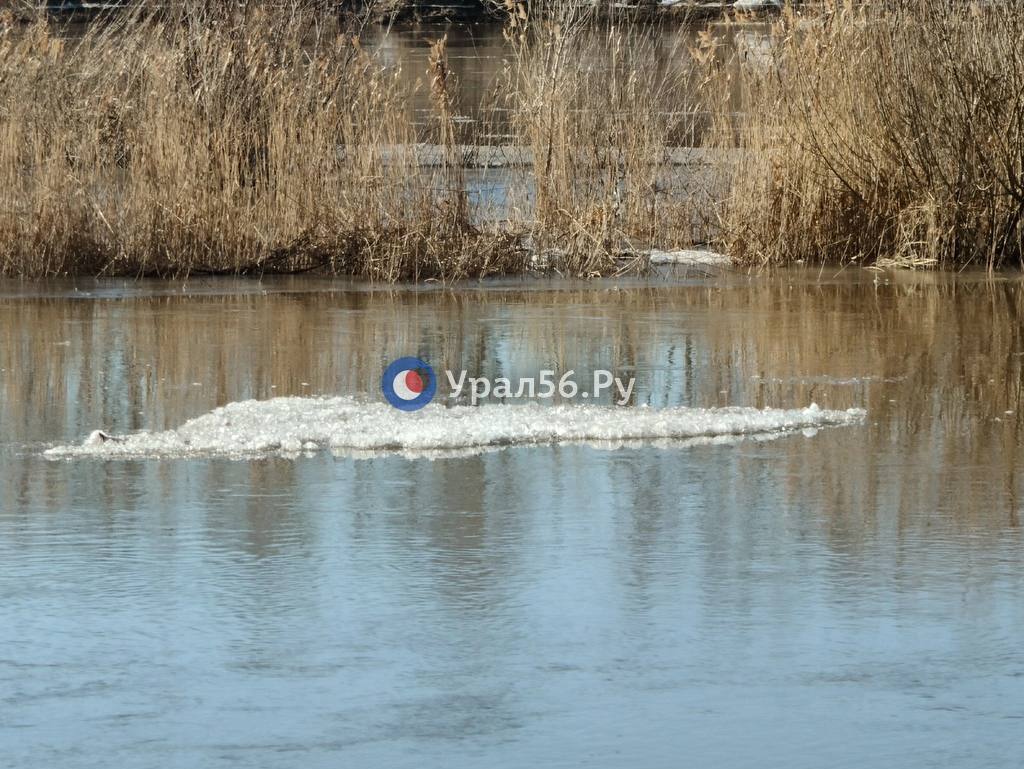 Урал в Оренбурге. Фото из архива