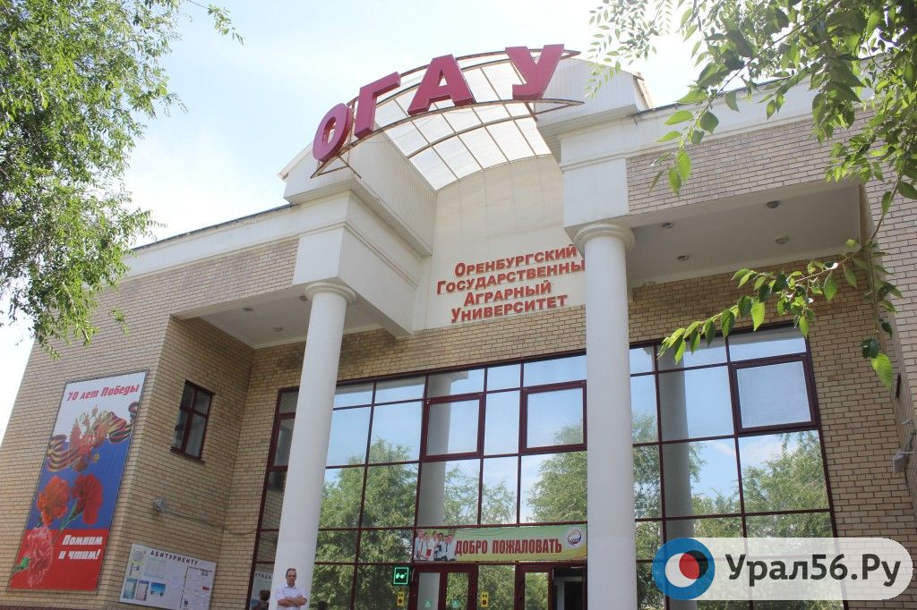 В отношении декана ОГАУ и его заместителя возбуждено уголовное дело