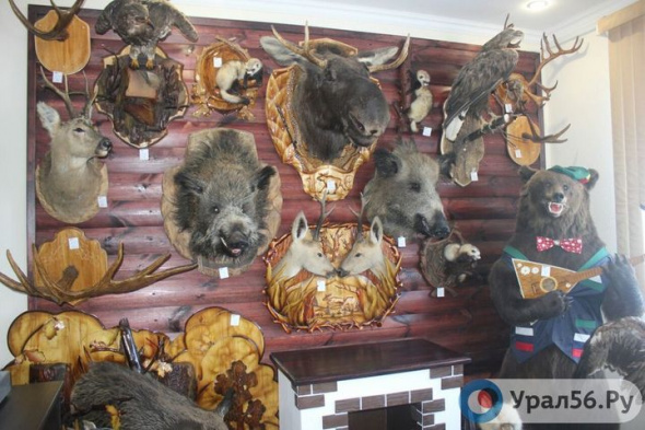 В Орске прокуратура заблокировала сайты, на которых продавались сувениры из редких животных и орудия для браконьерства