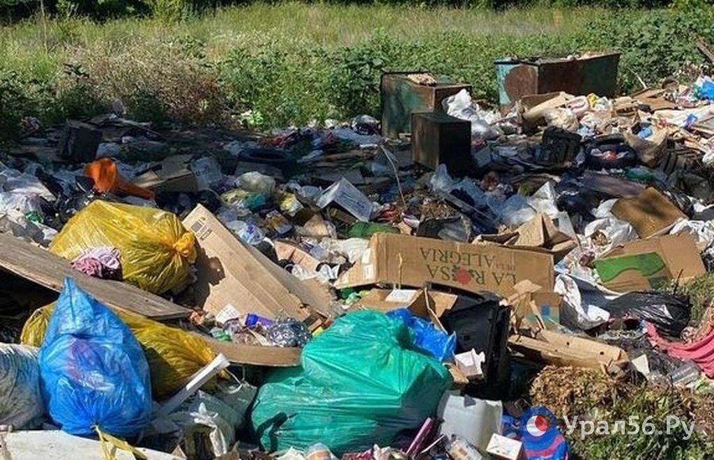 Свалка фото для презентации
