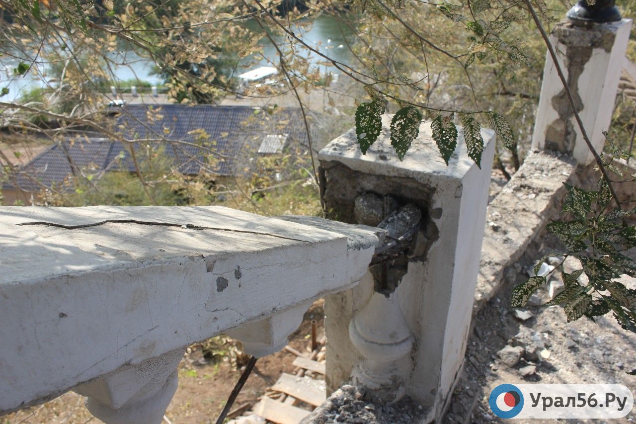 Оренбург и Орск вновь атаковали жуки — вязовые листоеды