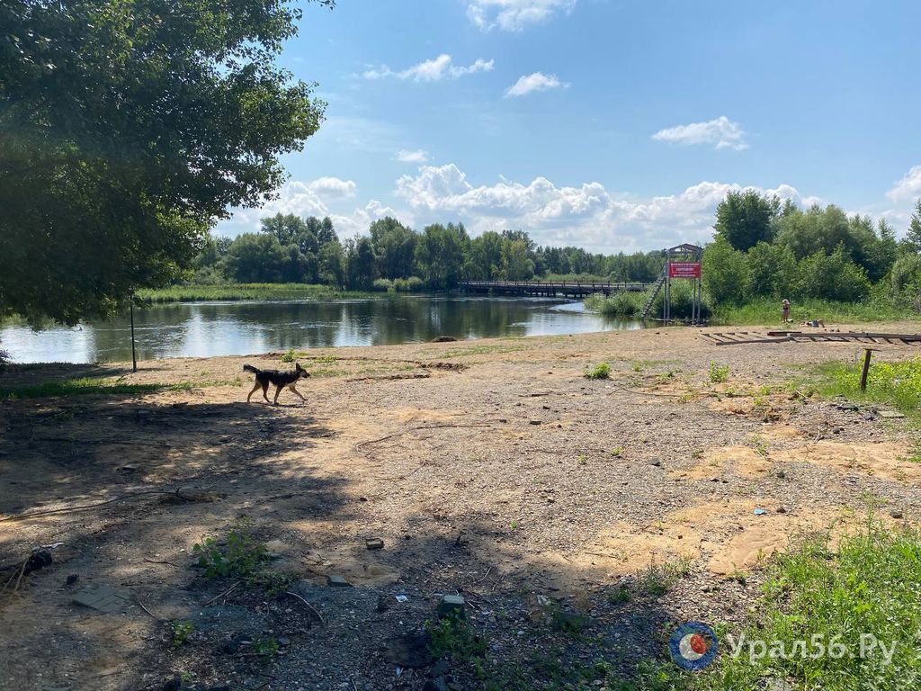 Пляж на реке Урал в Орске, 22.07.2024