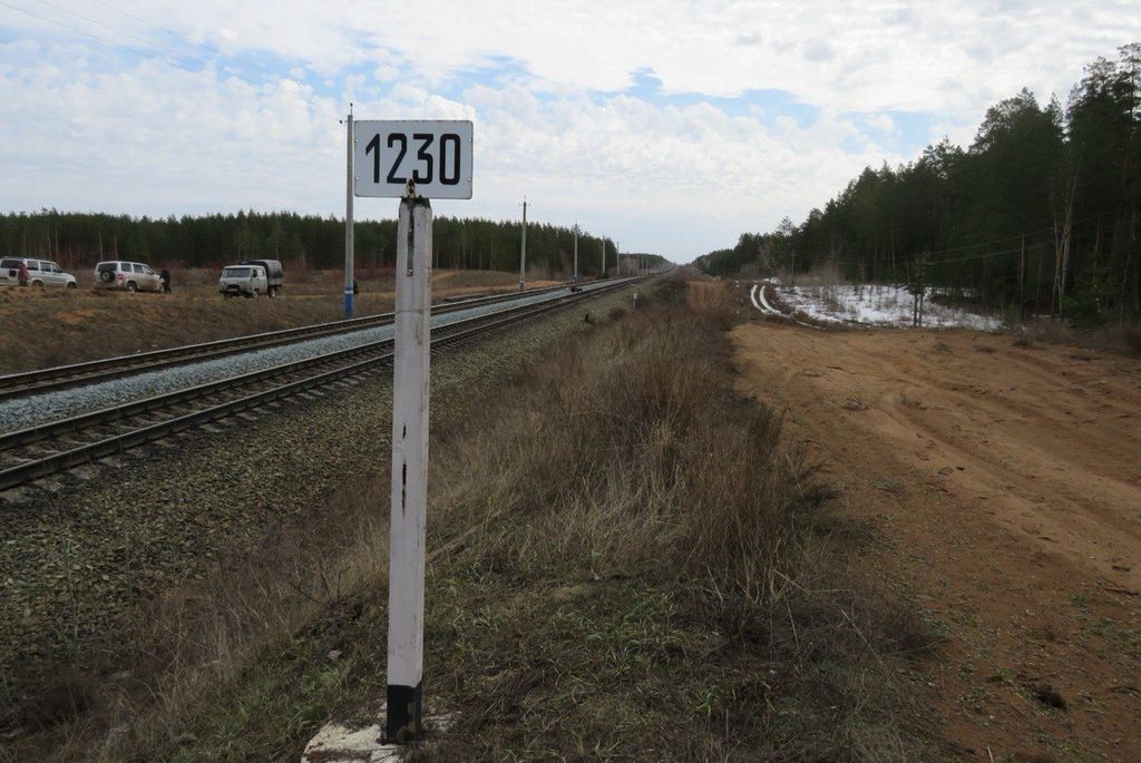 Железная дорога в районе нацпарка Бузулукский бор