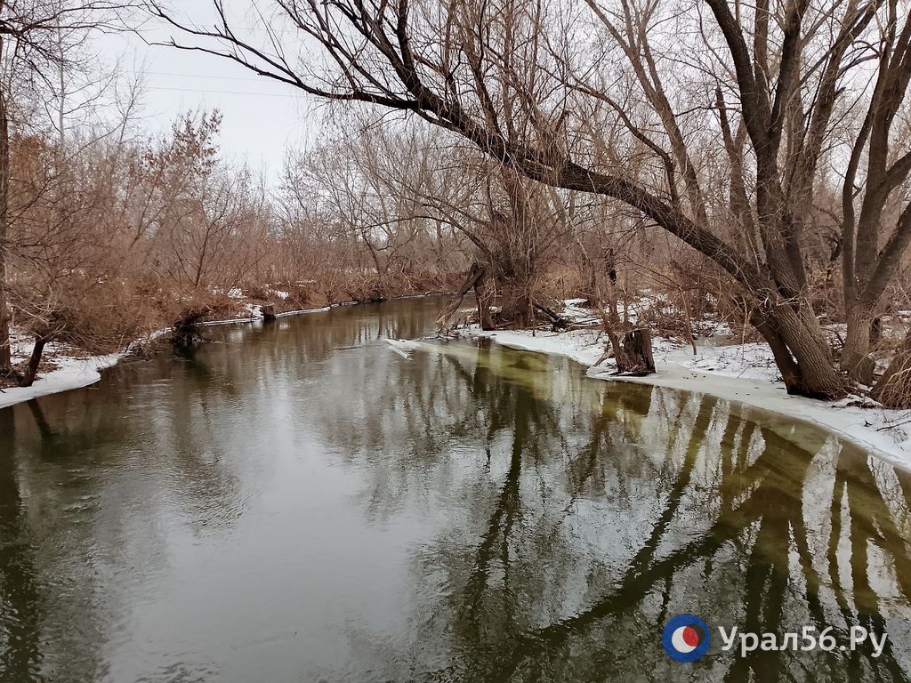 Рукав Урала в районе Орска, 02.02.2023