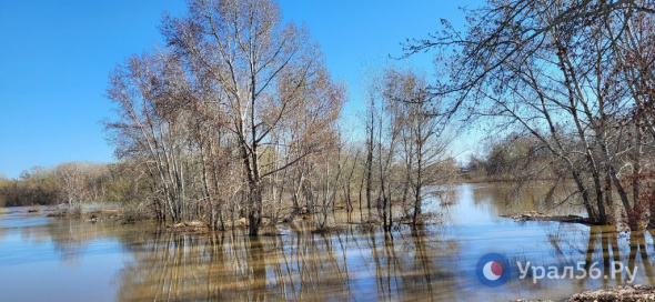 Урал в районе Орска упал еще на полметра, в Оренбурге – на 8 см. Ирикла продолжает набирать. Данные о состоянии водоемов