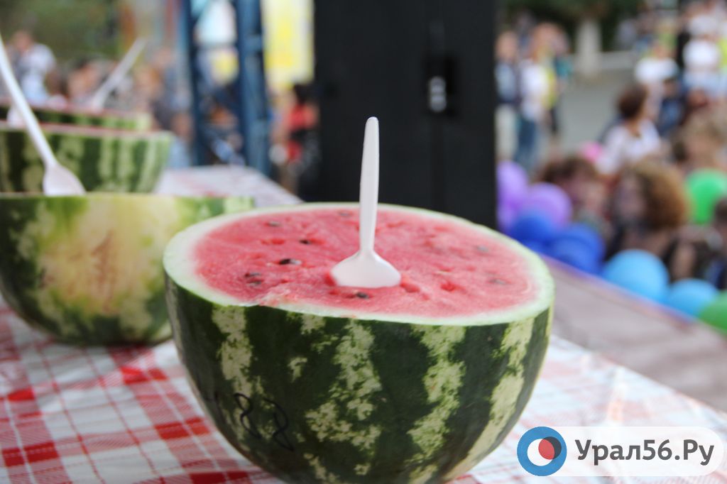 🍉 Как выбрать арбуз и дыню?