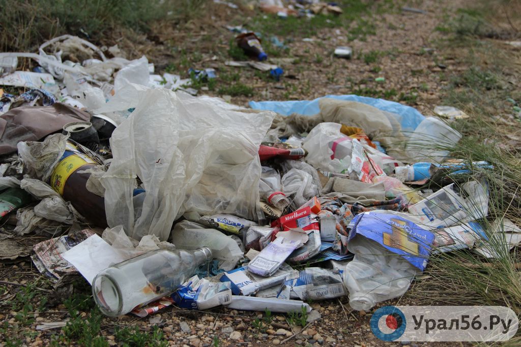Одна из несанкционированных свалок в Оренбургской области