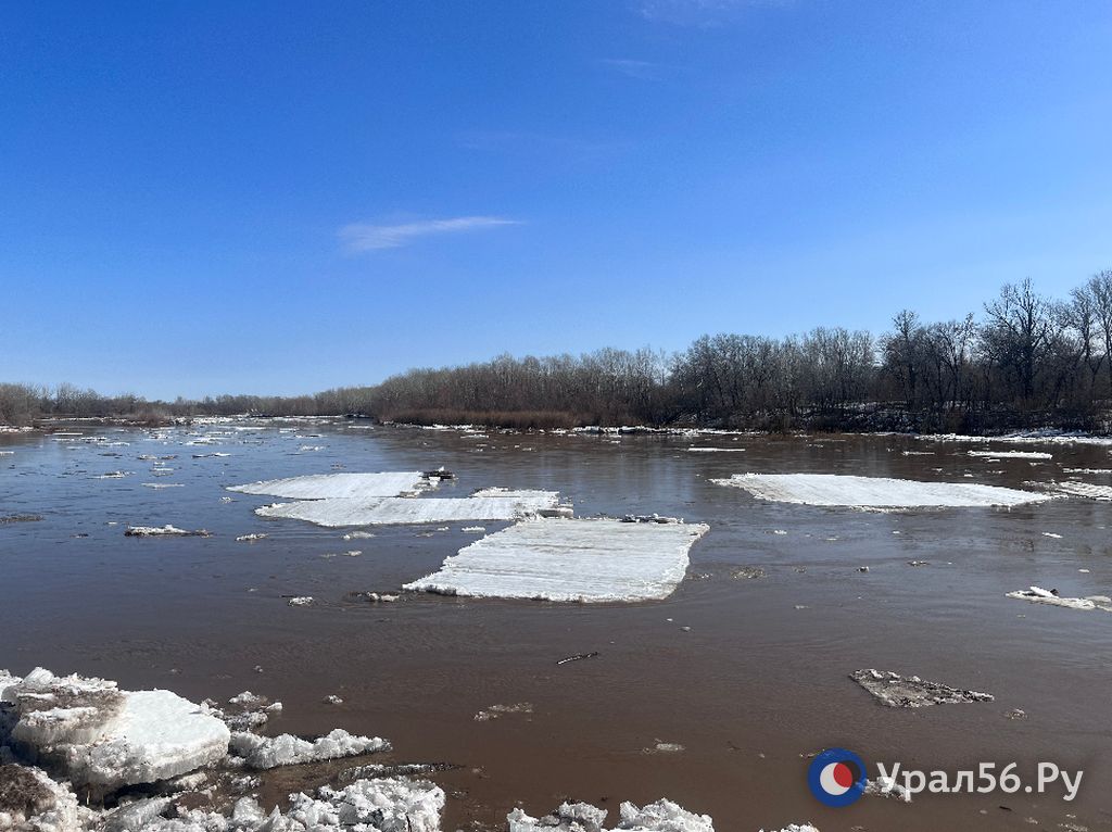 Какой уровень воды в урале в орске