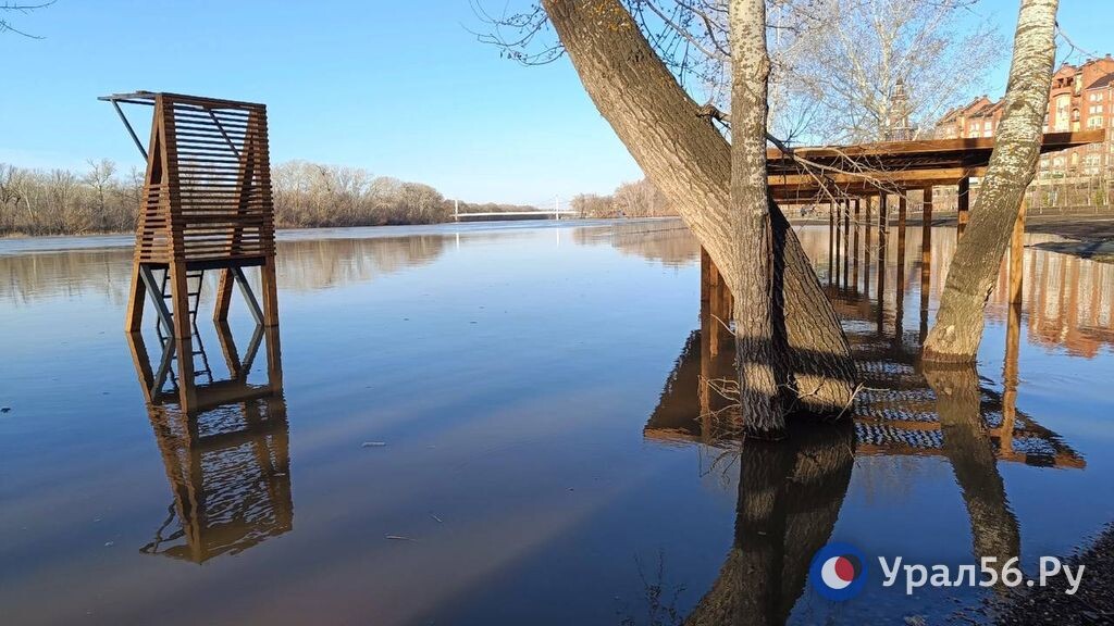 За два часа уровень воды в Урале у Оренбурга не изменился. До ...