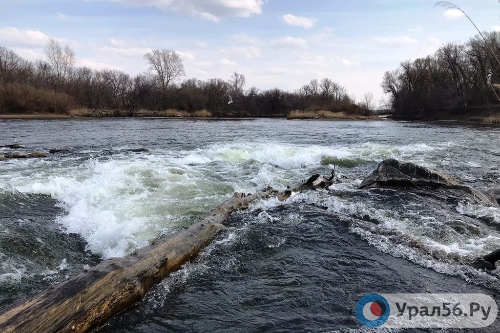 Река Урал ниже Ириклинского водохранилища. Фото из архива