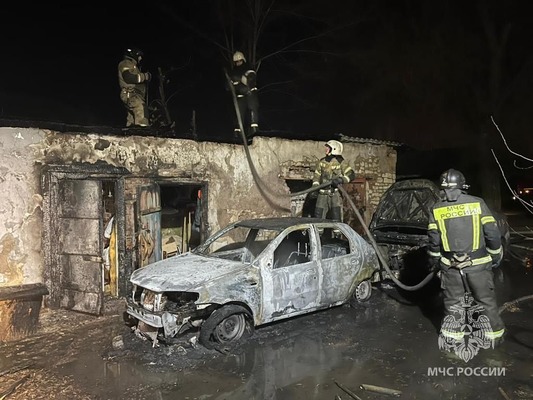 29 марта в Оренбурге сгорели два автомобиля и хозяйственная постройка (видео)