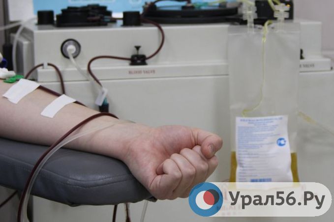 Как выглядит процесс сдачи антиковидной плазмы? Руководитель проекта Урал56.Ру стал донором